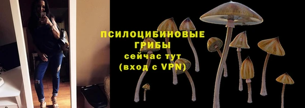 шишки Алзамай