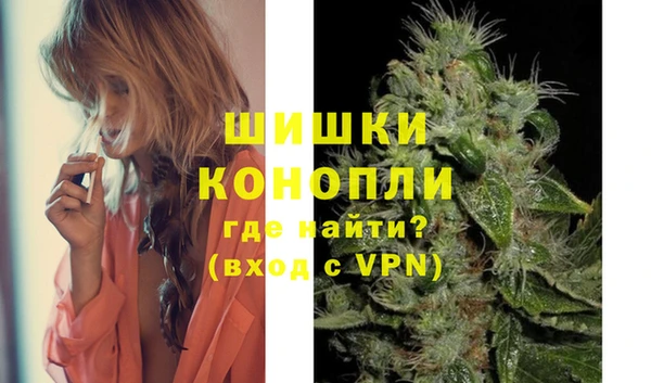 шишки Алзамай