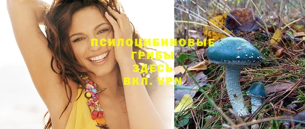 круглые Алексеевка