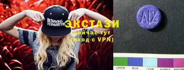 тгк Алексин