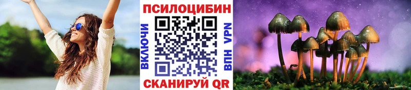 что такое наркотик  Катав-Ивановск  Псилоцибиновые грибы мухоморы 